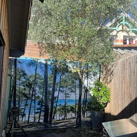 La Sanson * Arcachon