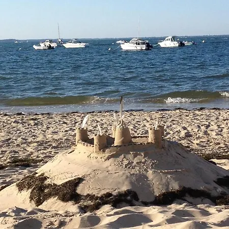 فيلة La Sanson *